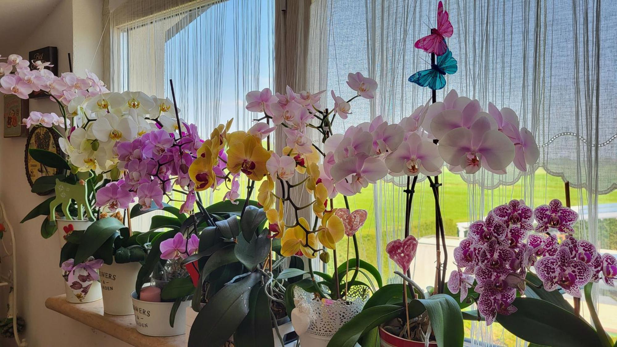 A Casa Di Eleonora Bed & Breakfast *
